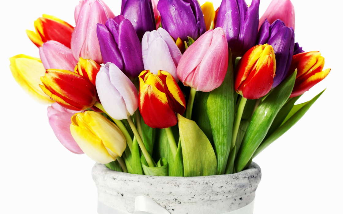Bouquets,Flores,Plantas,Tulipanes