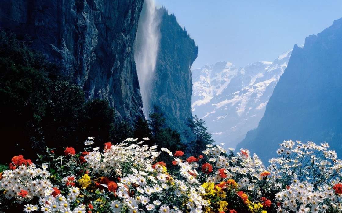 Flores,Montañas,Paisaje,Naturaleza,Plantas