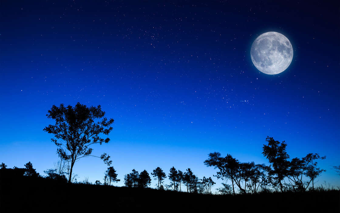 Noche,Luna,Paisaje,Árboles,Cielo