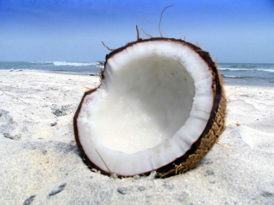 Comida,Coconuts