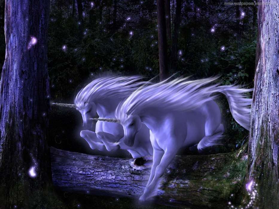 Unicornios,Fantasía