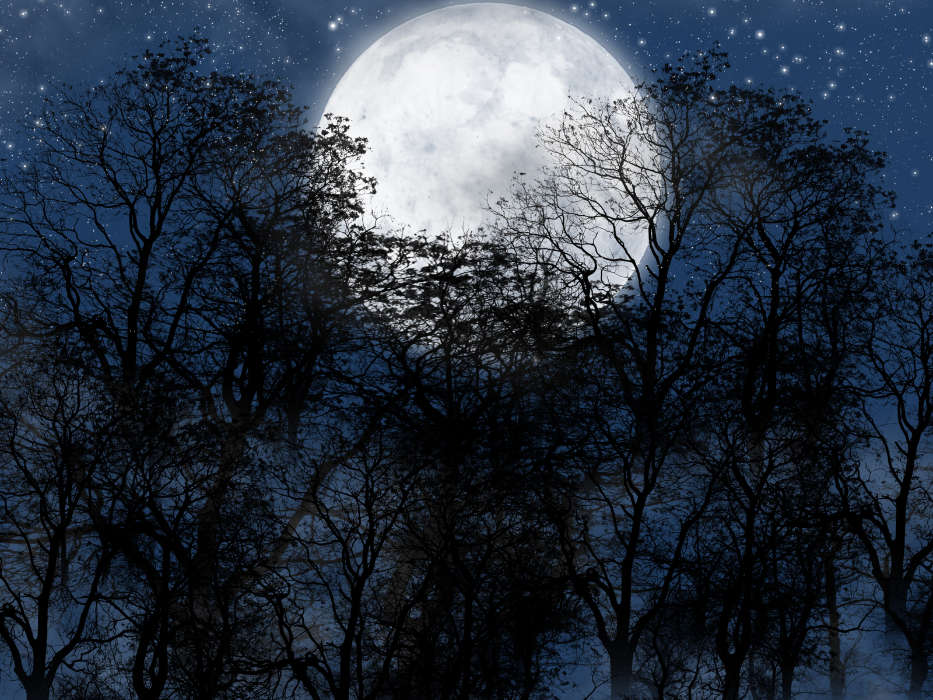 Luna,Noche,Paisaje