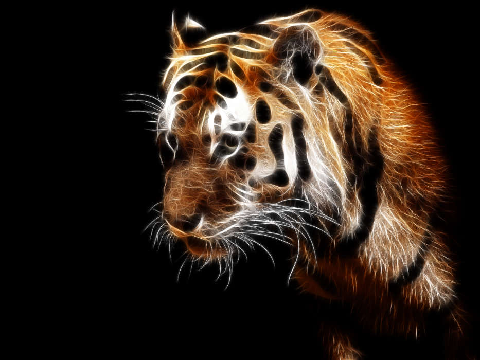 Animales,Arte,Tigres