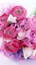 Descargar la imagen Vacaciones,Plantas,Flores,Bouquets,8 de marzo, Día de la Mujer para celular gratis.
