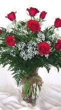 Descargar la imagen Vacaciones,Plantas,Flores,Roses,8 de marzo, Día de la Mujer para celular gratis.