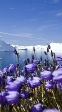 Descargar la imagen Icebergs,Paisaje para celular gratis.