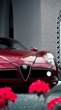 Descargar la imagen Alfa Romeo,Automóvil,Transporte para celular gratis.