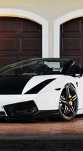 Descargar la imagen Lamborghini,Transporte,Automóvil para celular gratis.