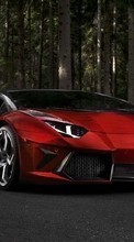 Transporte,Automóvil,Lamborghini para OnePlus Nord