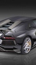 Descargar la imagen Automóvil,Lamborghini,Transporte para celular gratis.