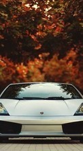 Descargar la imagen Lamborghini,Automóvil,Transporte para celular gratis.