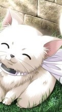 Descargar la imagen Anime,Gatos para celular gratis.