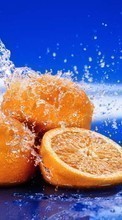 Descargar la imagen 540x960 Frutas,Agua,Comida,Naranjas para celular gratis.
