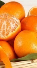 Descargar la imagen Naranjas,Comida,Frutas para celular gratis.