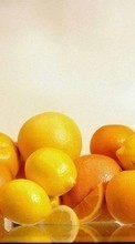Descargar la imagen Frutas,Comida,Lemons,Naranjas para celular gratis.