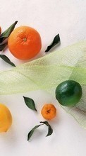 Descargar la imagen Naranjas,Comida,Frutas,Lemons para celular gratis.