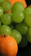 Descargar la imagen Frutas,Comida,Naranjas,Uvas para celular gratis.