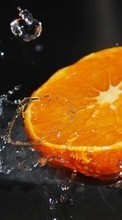 Descargar la imagen Frutas,Agua,Comida,Naranjas para celular gratis.