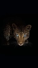 Descargar la imagen 128x160 Animales,Arte,Leopardos para celular gratis.