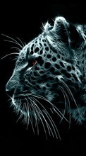 Descargar la imagen Animales,Arte,Leopardos para celular gratis.
