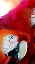 Descargar la imagen 360x640 Animales,Birds,Arte,Loros,Imágenes para celular gratis.
