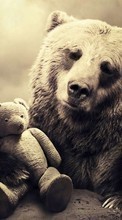 Descargar la imagen Animales,Fotografía artística,Juguetes,Bears para celular gratis.