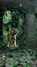 Descargar la imagen 240x400 Animales,Fotografía artística,Tigres para celular gratis.