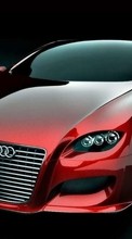 Descargar la imagen Audi,Automóvil,Transporte para celular gratis.