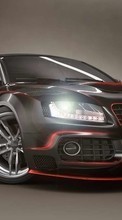 Transporte,Automóvil,Puesta a punto,Audi para LG Optimus L1 2 E410