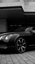 Descargar la imagen 720x1280 Transporte,Automóvil,Bentley para celular gratis.