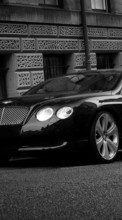 Descargar la imagen 480x800 Transporte,Automóvil,Bentley para celular gratis.