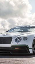 Descargar la imagen Automóvil,Bentley,Transporte para celular gratis.