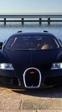Descargar la imagen 1080x1920 Transporte,Automóvil,Bugatti para celular gratis.