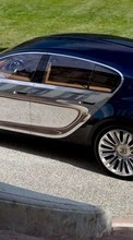 Descargar la imagen Automóvil,Bugatti,Transporte para celular gratis.