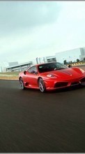Transporte,Automóvil,Ferrari para Sony Xperia T3