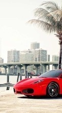 Transporte,Automóvil,Ferrari para Sony Ericsson Xperia mini pro