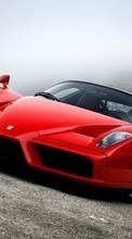 Descargar la imagen Transporte,Automóvil,Ferrari para celular gratis.