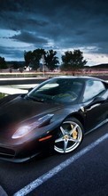 Descargar la imagen Automóvil,Ferrari,Transporte para celular gratis.