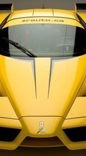 Automóvil,Ferrari,Transporte para OnePlus One
