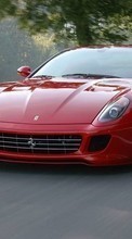 Descargar la imagen 320x240 Transporte,Automóvil,Ferrari para celular gratis.