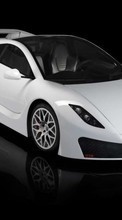 Descargar la imagen 320x480 Transporte,Automóvil,Ferrari para celular gratis.