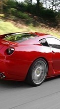 Descargar la imagen 720x1280 Transporte,Automóvil,Ferrari para celular gratis.