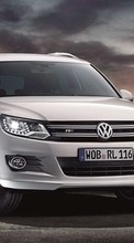 Descargar la imagen Automóvil,Volkswagen,Transporte para celular gratis.