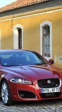 Descargar la imagen Automóvil,Jaguar,Transporte para celular gratis.
