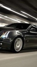 Transporte,Automóvil,Cadillac para Samsung Star GT-S5230
