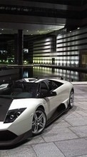 Transporte,Automóvil,Lamborghini para Lenovo A6010