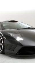 Descargar la imagen 240x320 Transporte,Automóvil,Lamborghini para celular gratis.
