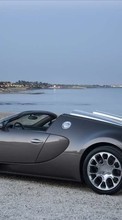 Descargar la imagen Transporte,Automóvil,Cielo,Mar,Bugatti para celular gratis.
