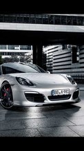 Descargar la imagen Automóvil,Porsche,Transporte para celular gratis.