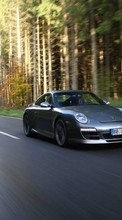 Descargar la imagen Transporte,Automóvil,Porsche para celular gratis.